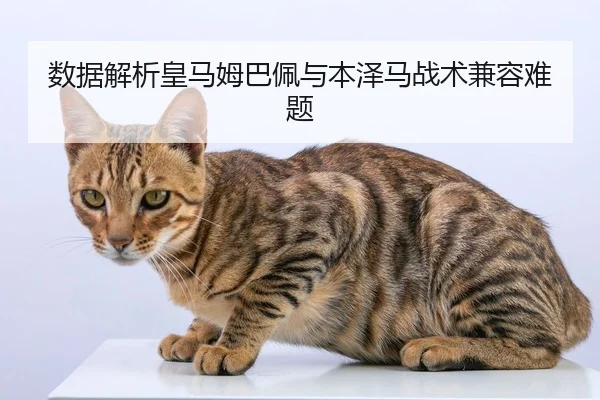 shu-ju-jie-xi-huang-ma-mu-ba-pei-yu-ben-ze-ma-zhan-shu-jian-rong-nan-ti-2-931.jpg