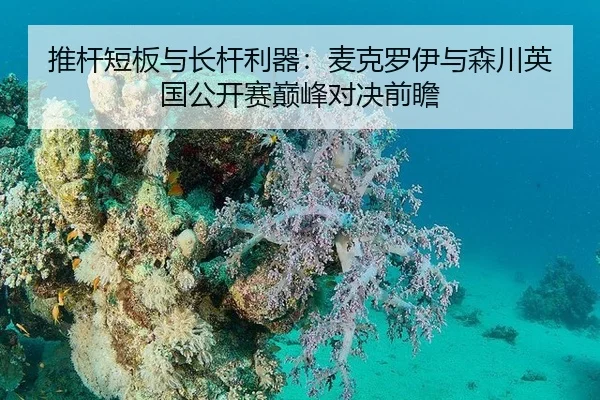 推杆短板与长杆利器：麦克罗伊与森川英国公开赛巅峰对决前瞻