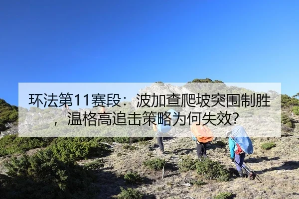 huan-fa-di-sai-duan-bo-jia-cha-pa-po-tu-wei-zhi-sheng-wen-ge-gao-zhui-ji-ce-lve-wei-he-shi-xiao-2-777.jpg