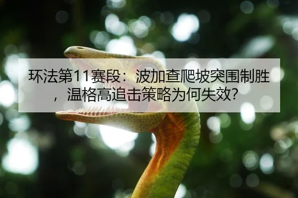 环法第11赛段：波加查爬坡突围制胜，温格高追击策略为何失效？