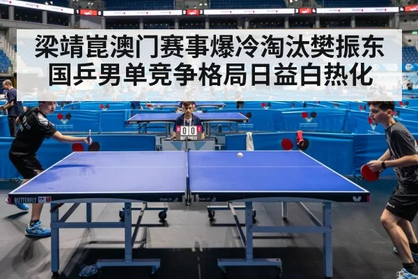 梁靖崑澳门赛事爆冷淘汰樊振东 国乒男单竞争格局日益白热化