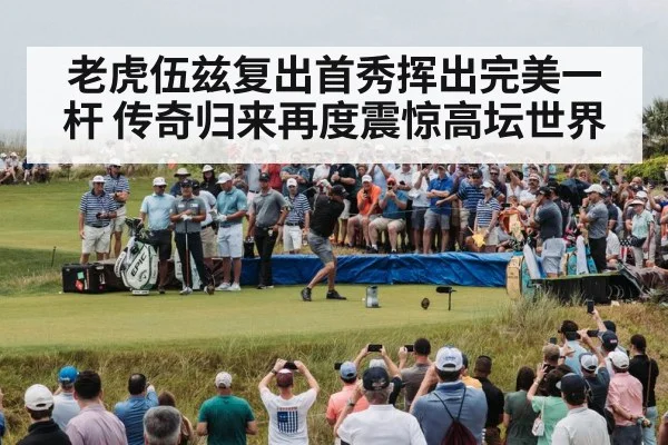 老虎伍兹复出首秀挥出完美一杆 传奇归来再度震惊高坛世界